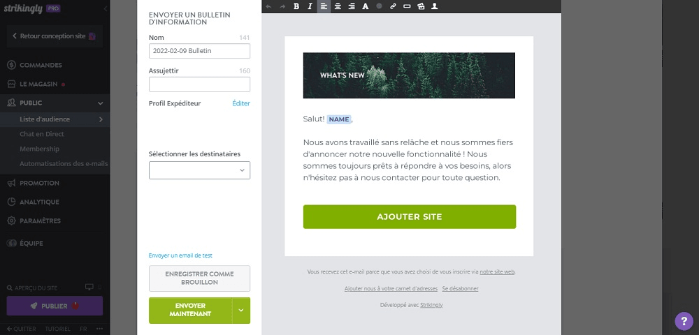 null Newsletter Strikingly